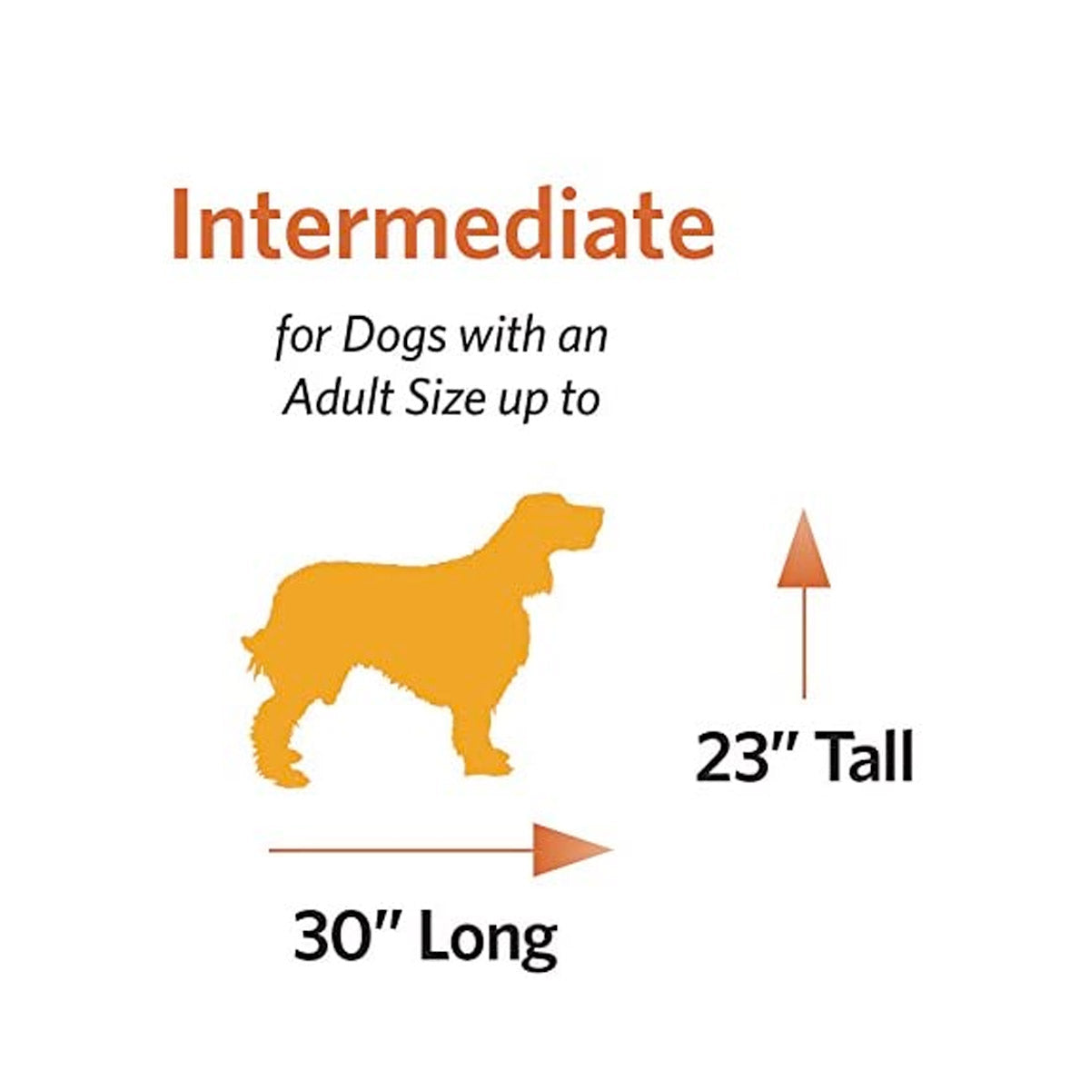 Portable Tent Dog Crate - Intermediate