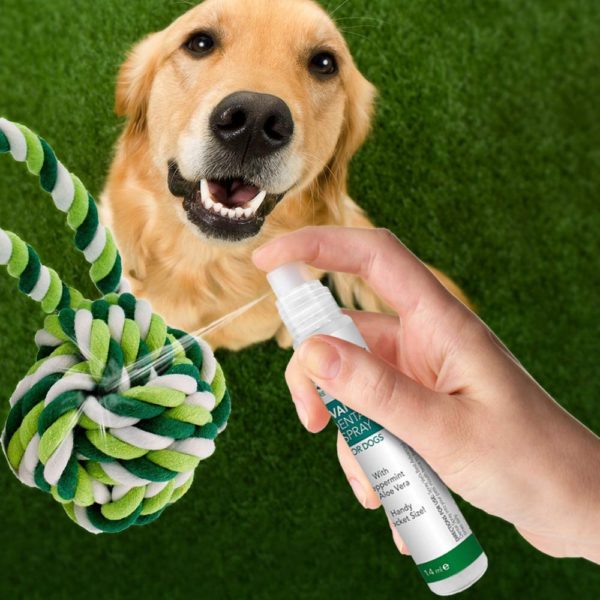 Advanced Dental Spray & Floss Ball for Dogs 120ml