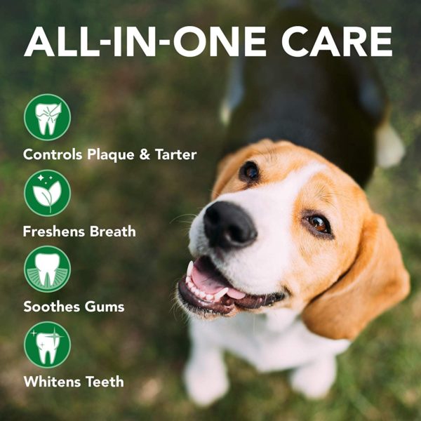 Advanced Dental Spray & Floss Ball for Dogs 120ml