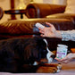 Vet’s Best Clean Ear Finger Pads (50 Pads)
