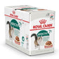 Royal Feline Health Nutrition Instinctive +7 Gravy (WET FOOD - Pouches)