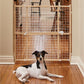 Wood and Wire Mesh Pet Gate
