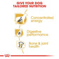 Royal Canin, Great Dane Adult 12 KG, Breed Health Nutrition