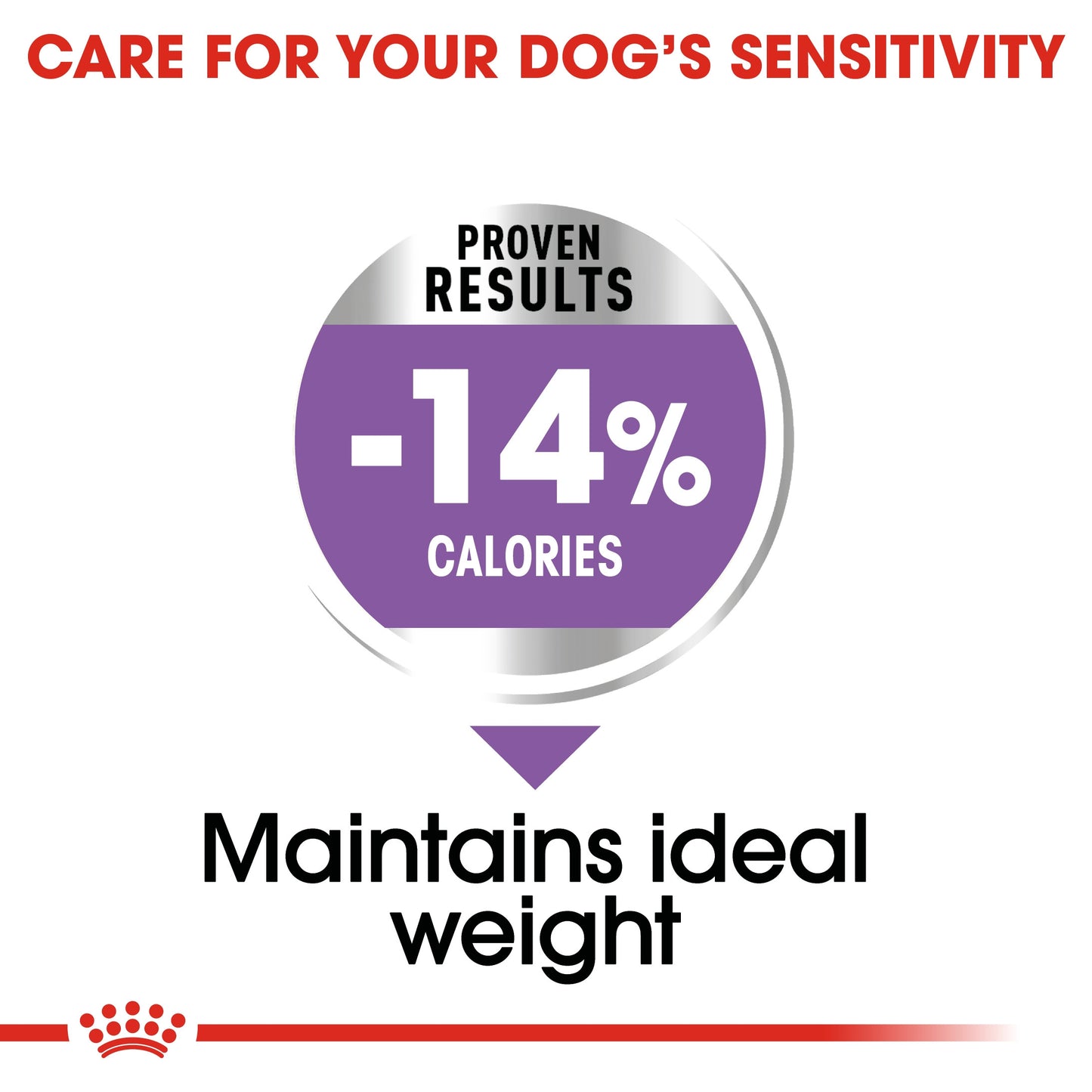 Royal Canin, Mini Sterilized Adult 3 KG, Canine Care Nutrition