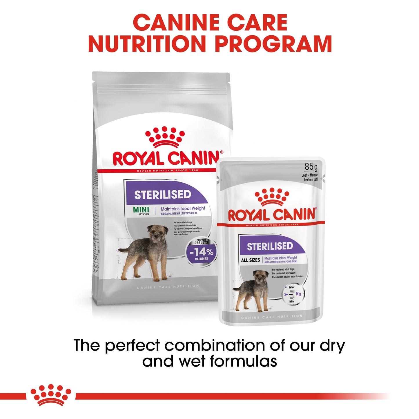 Royal Canin, Mini Sterilized Adult 3 KG, Canine Care Nutrition