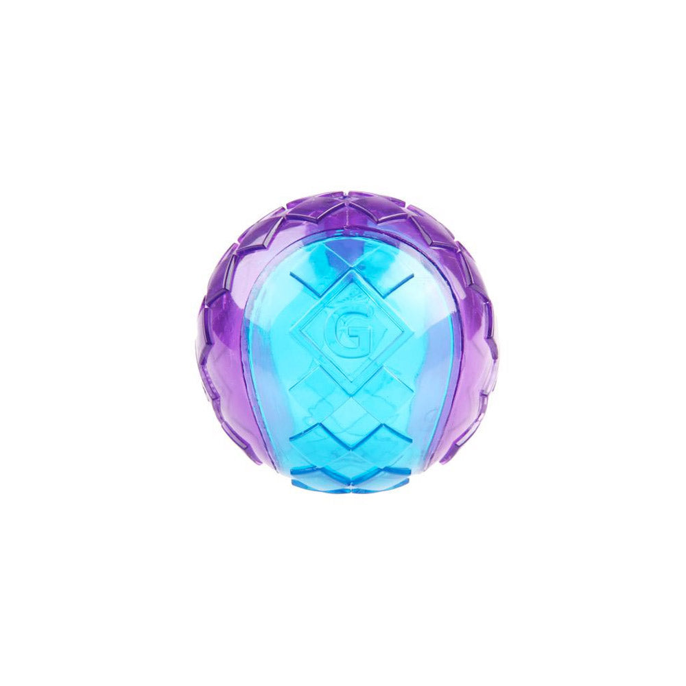 Gigwi G-Ball Purple/Blue Squeaker Transparent (Medium)