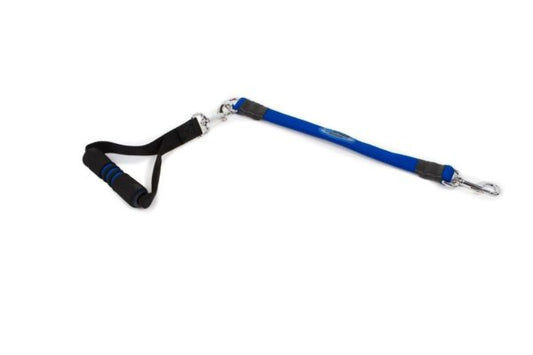 EZ STEPS STRETCH LEASH LG BLUE