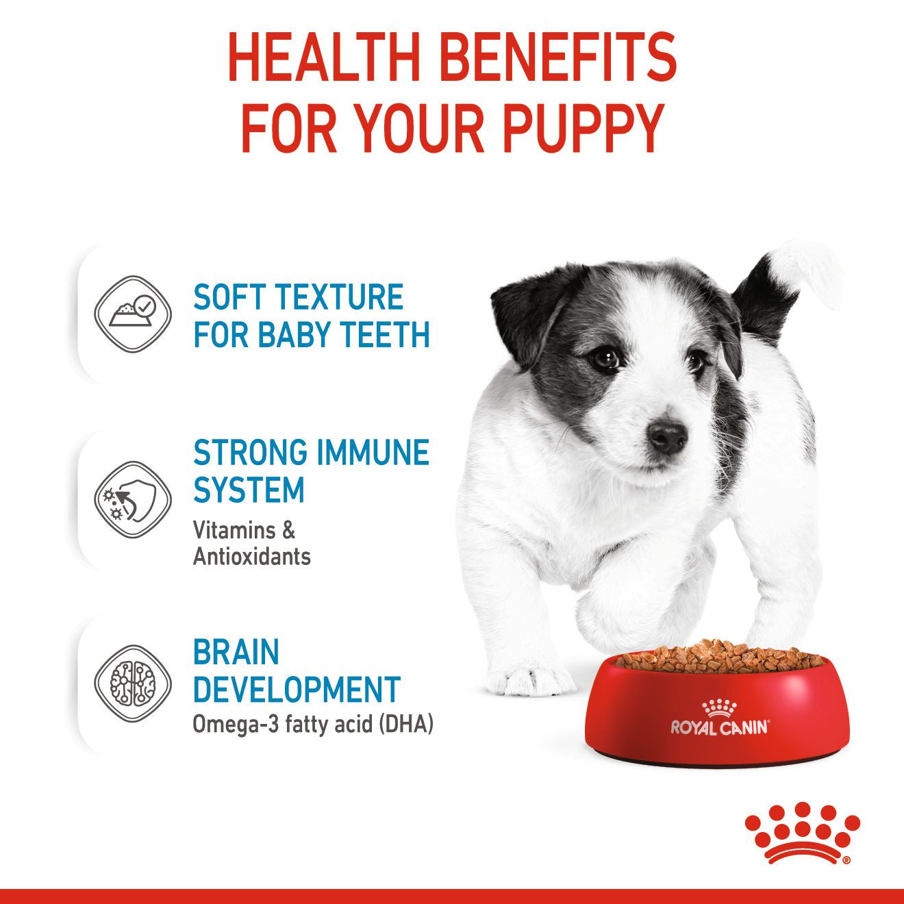 Royal Canin, Size Health Nutrition Mini Puppy (WET FOOD - Pouches)