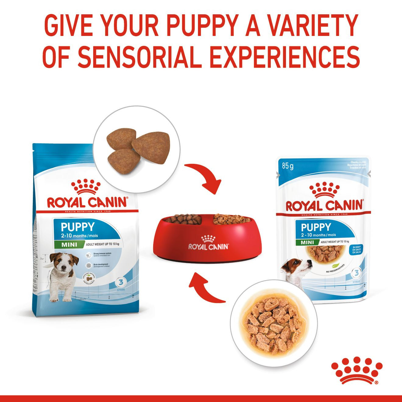 Royal Canin, Size Health Nutrition Mini Puppy (WET FOOD - Pouches)