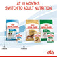 Royal Canin, Size Health Nutrition Mini Puppy (WET FOOD - Pouches)