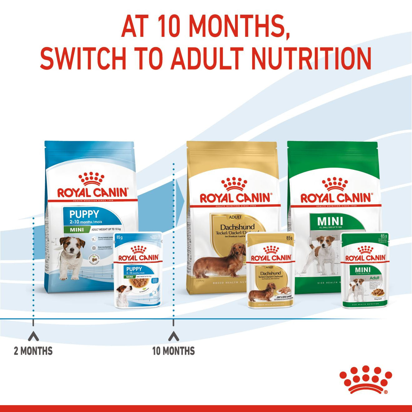 Royal Canin, Size Health Nutrition Mini Puppy (WET FOOD - Pouches)