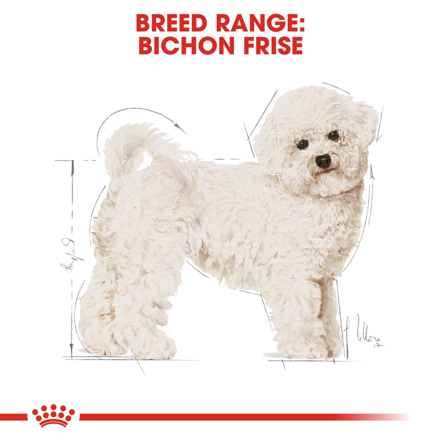 Royal Canin, Bichon Frise Adult 1.5 KG Breed Health Nutrition