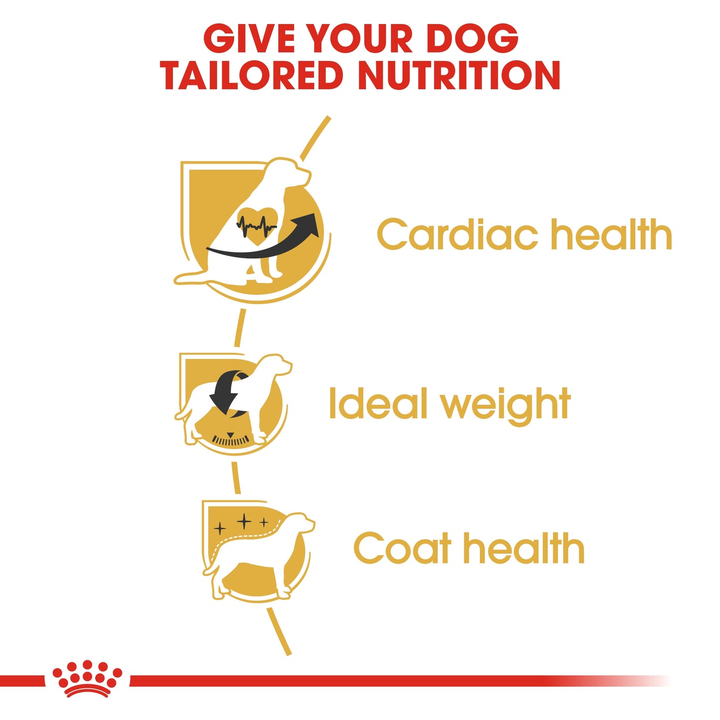 Royal Canin, Cavalier King Charles Adult 1.5 KG Breed Health Nutrition