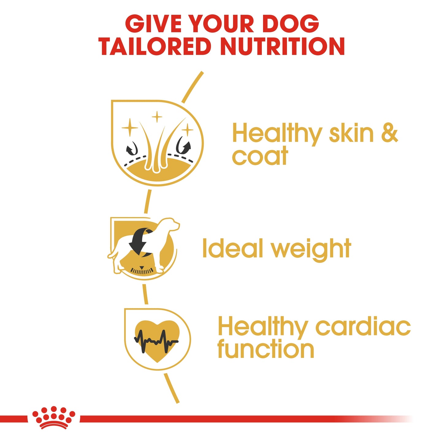 Royal Canin, Nutrition Cocker Adult 3 KG, Breed Health