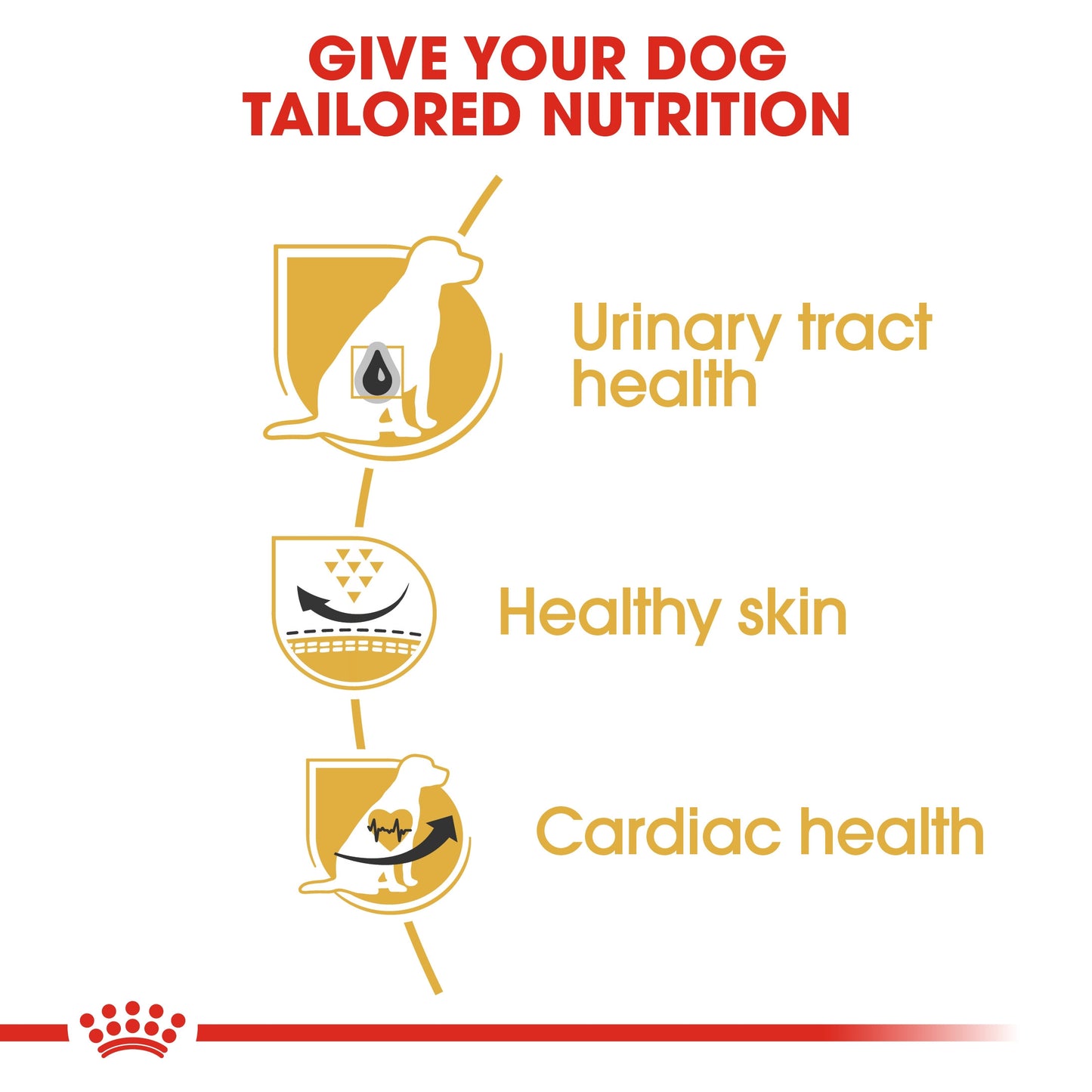 Royal Canin, Dalmatian Adult 12 KG, Breed Health Nutrition