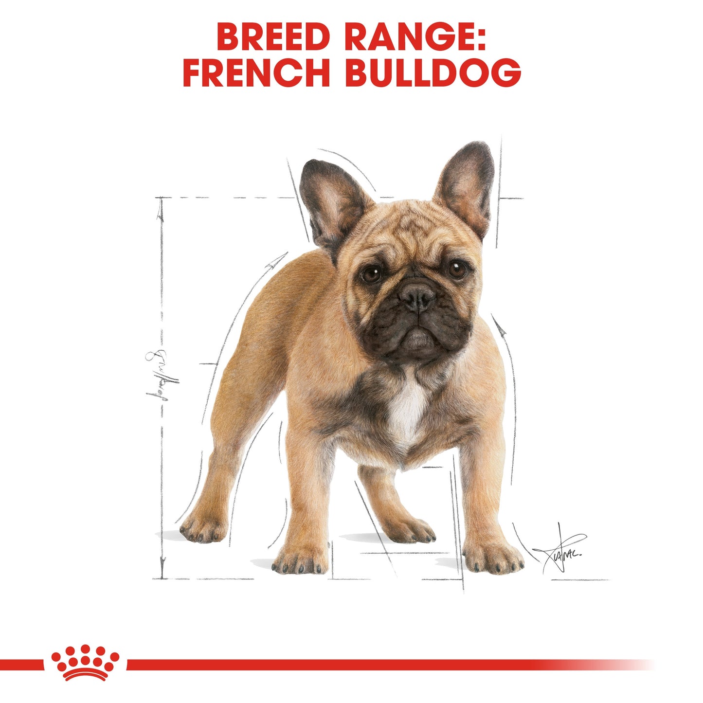 Royal Canin, French Bulldog Adult 3 KG, Breed Health Nutrition