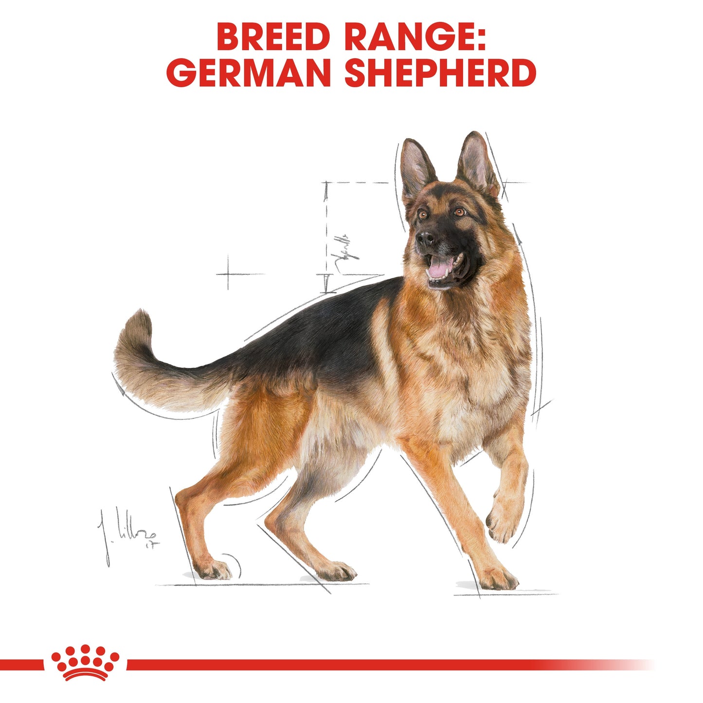 Royal Canin, German Shepherd Adult 11 KG, Breed Health Nutrition