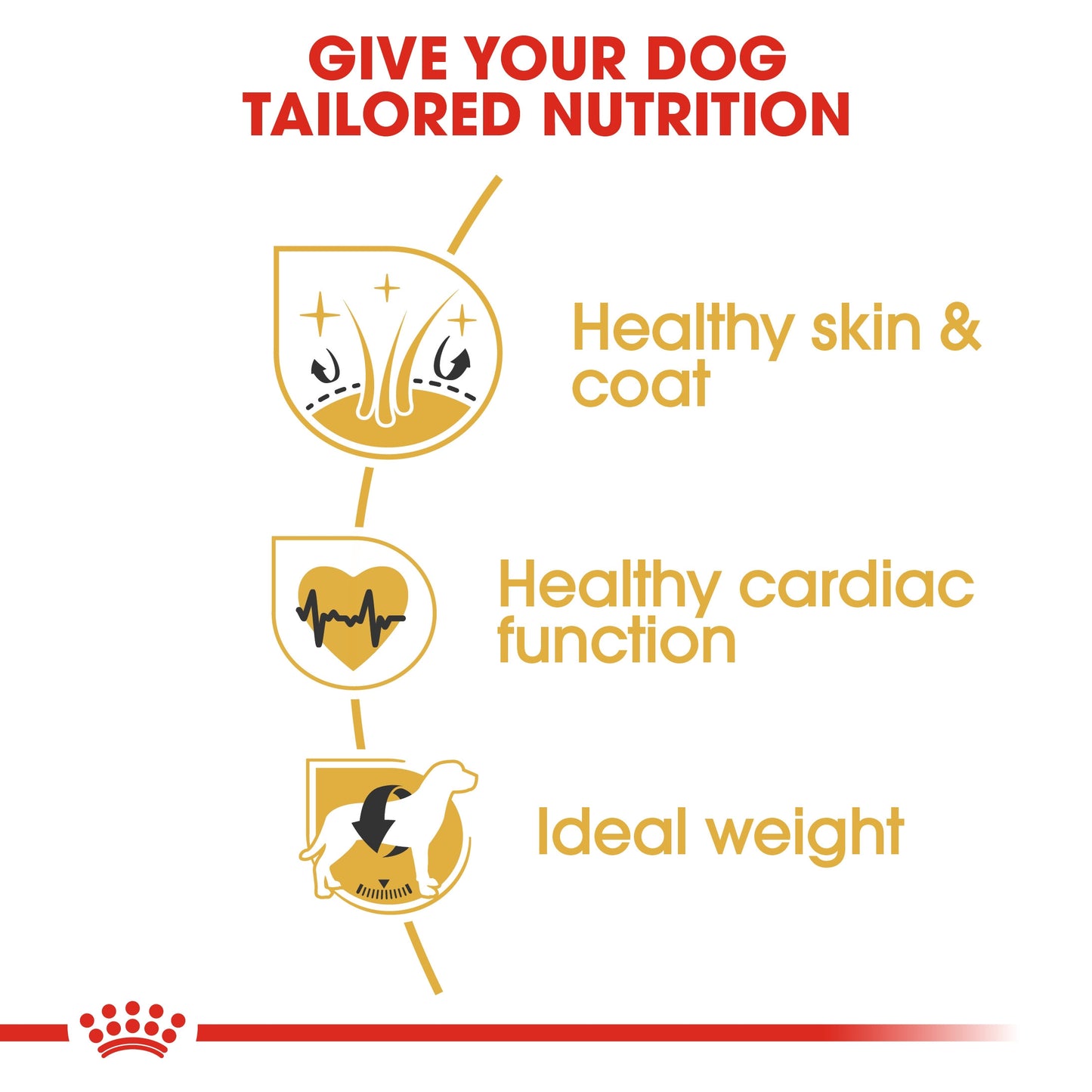 Royal Canin, Golden Retriever Adult 12 KG, Breed Health Nutrition