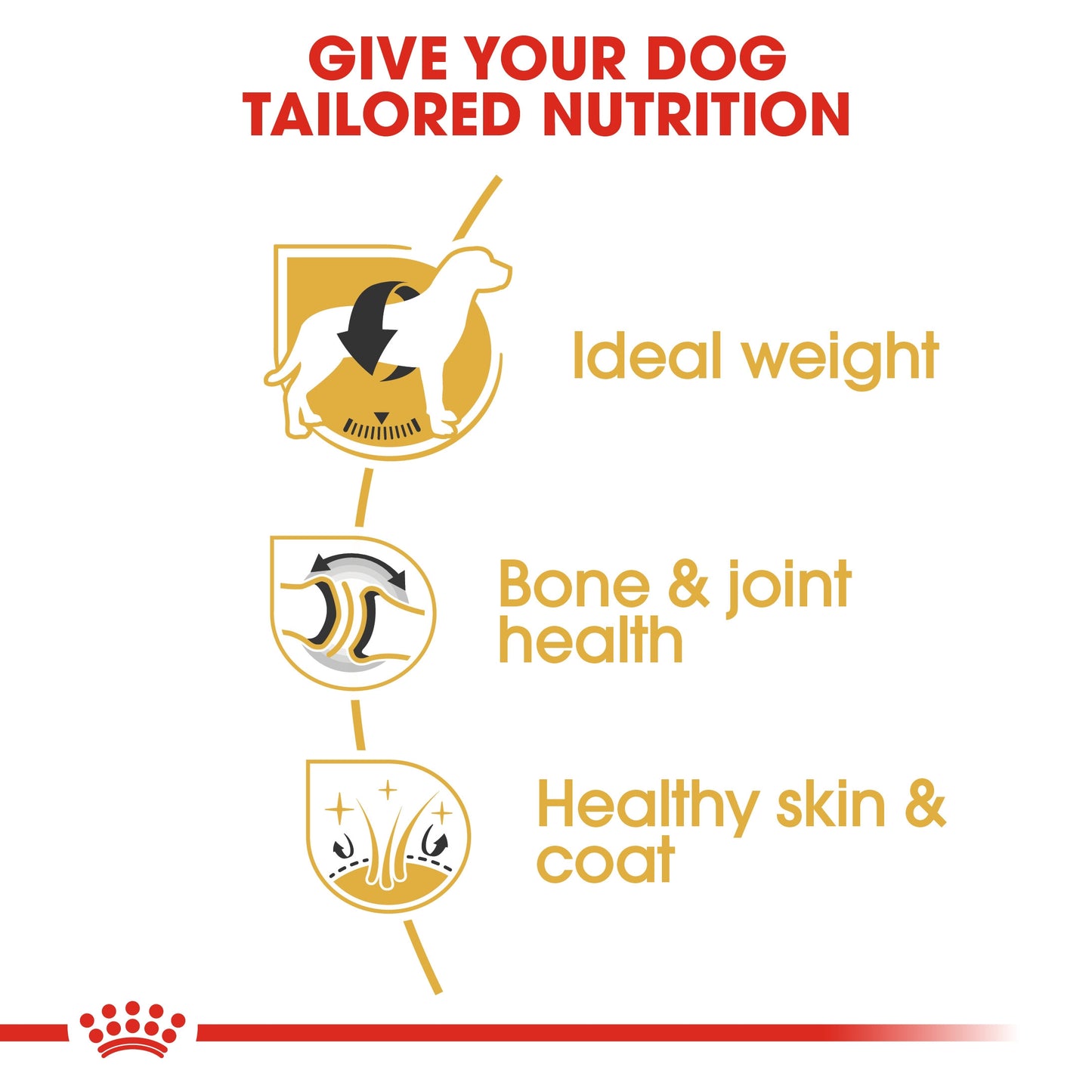 Royal Canin, Labrador Adult 12 KG, Breed Health Nutrition