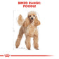 Royal Canin, Poodle Adult 1.5 KG, Breed Health Nutrition