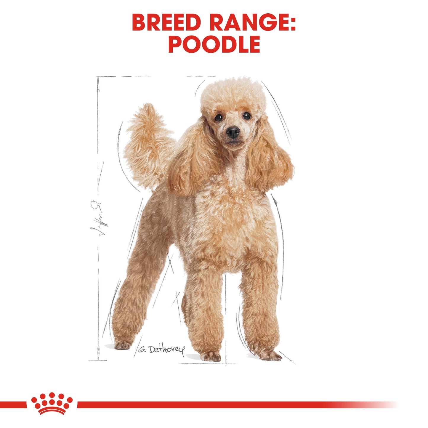 Royal Canin, Poodle Adult 1.5 KG, Breed Health Nutrition