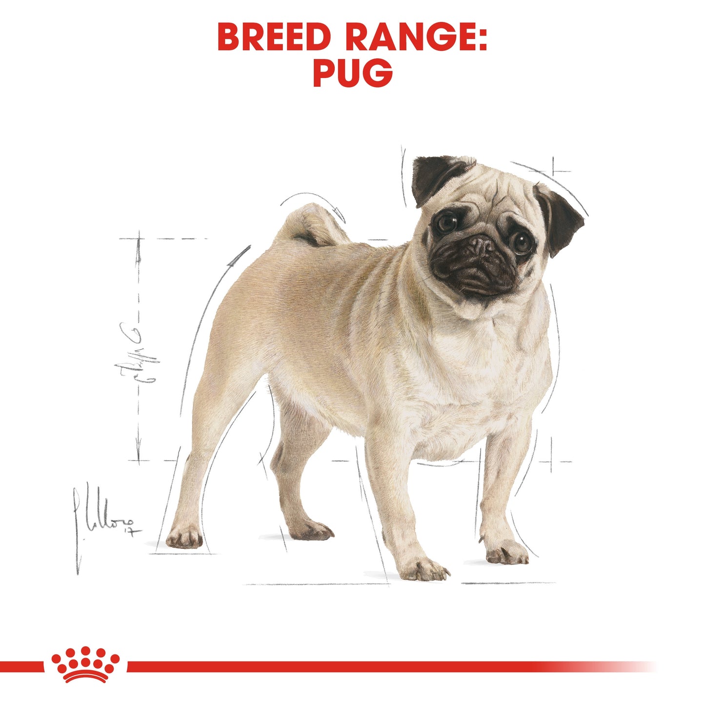 Royal Canin, Pug Adult 1.5 KG, Breed Health Nutrition