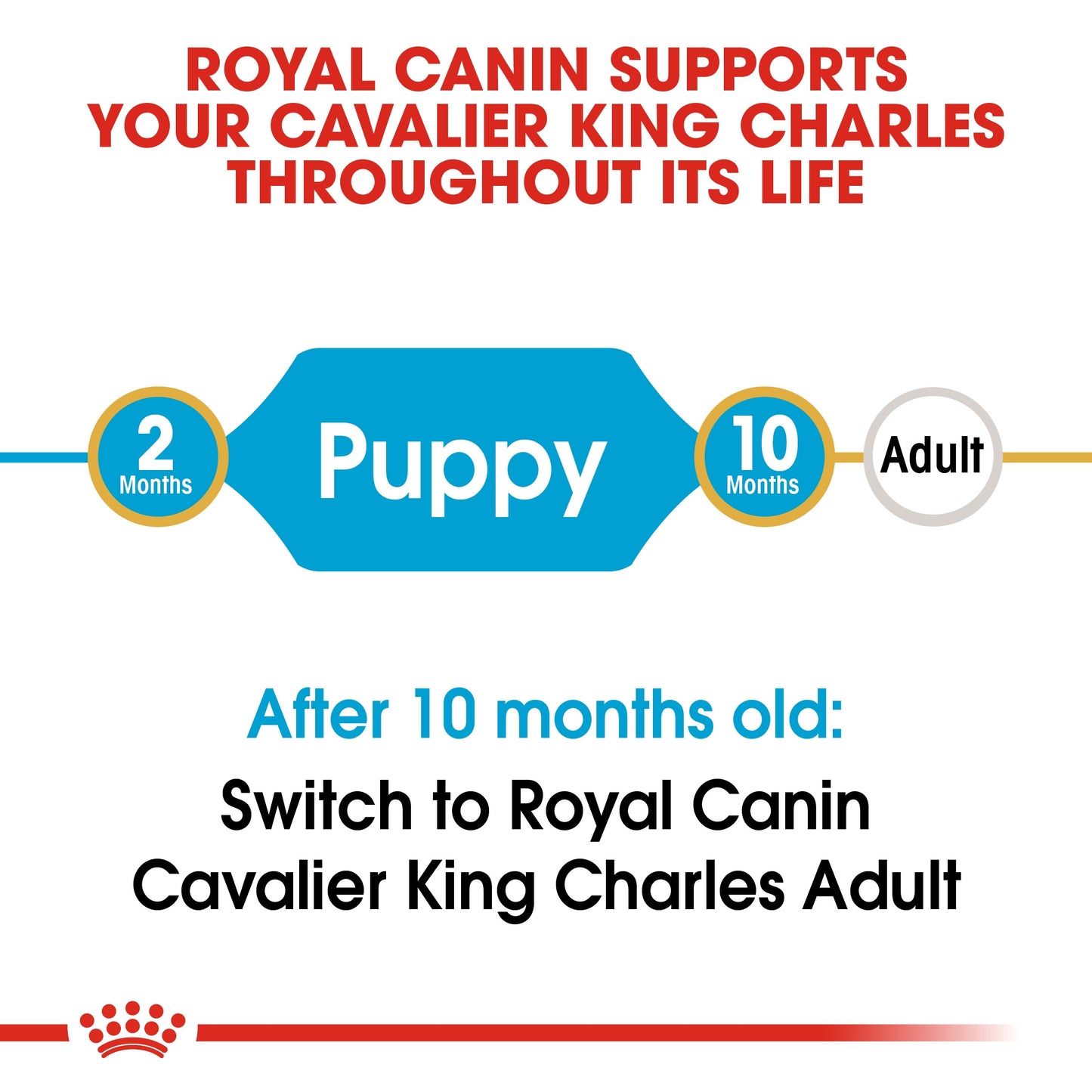 Royal Canin, Cavalier King Charles Puppy 1.5 KG Breed Health Nutrition