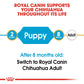 Royal Canin, Chihuahua Puppy 1.5 KG, Breed Health Nutrition