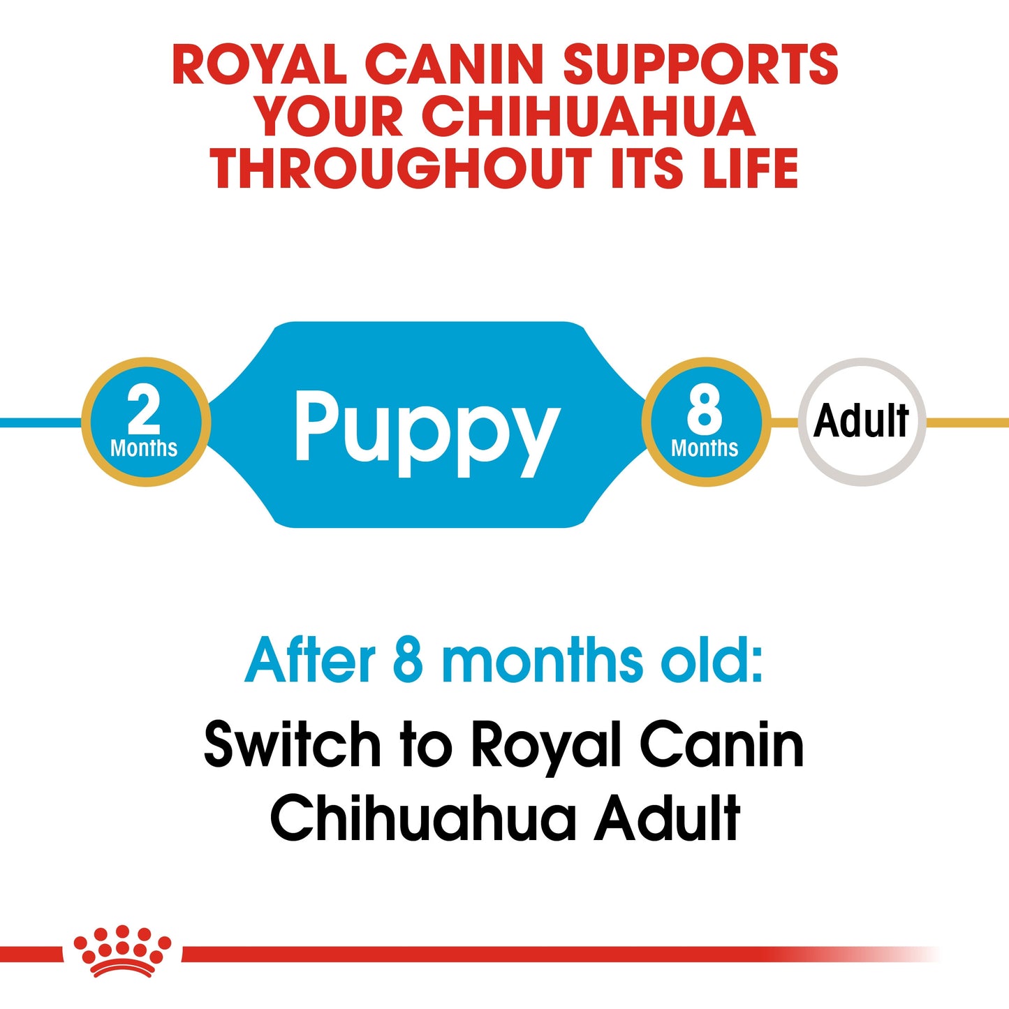 Royal Canin, Chihuahua Puppy 1.5 KG, Breed Health Nutrition