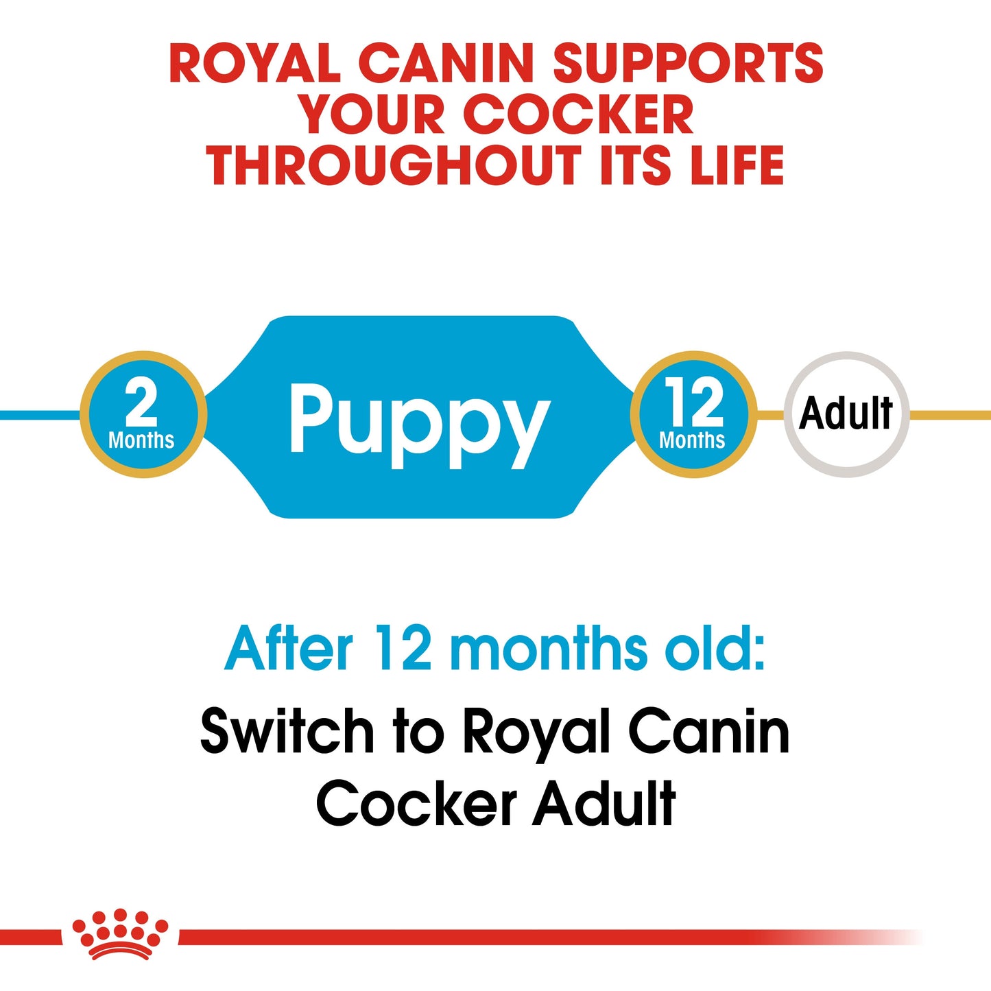 Royal Canin, Nutrition Cocker Puppy 3 KG, Breed Health