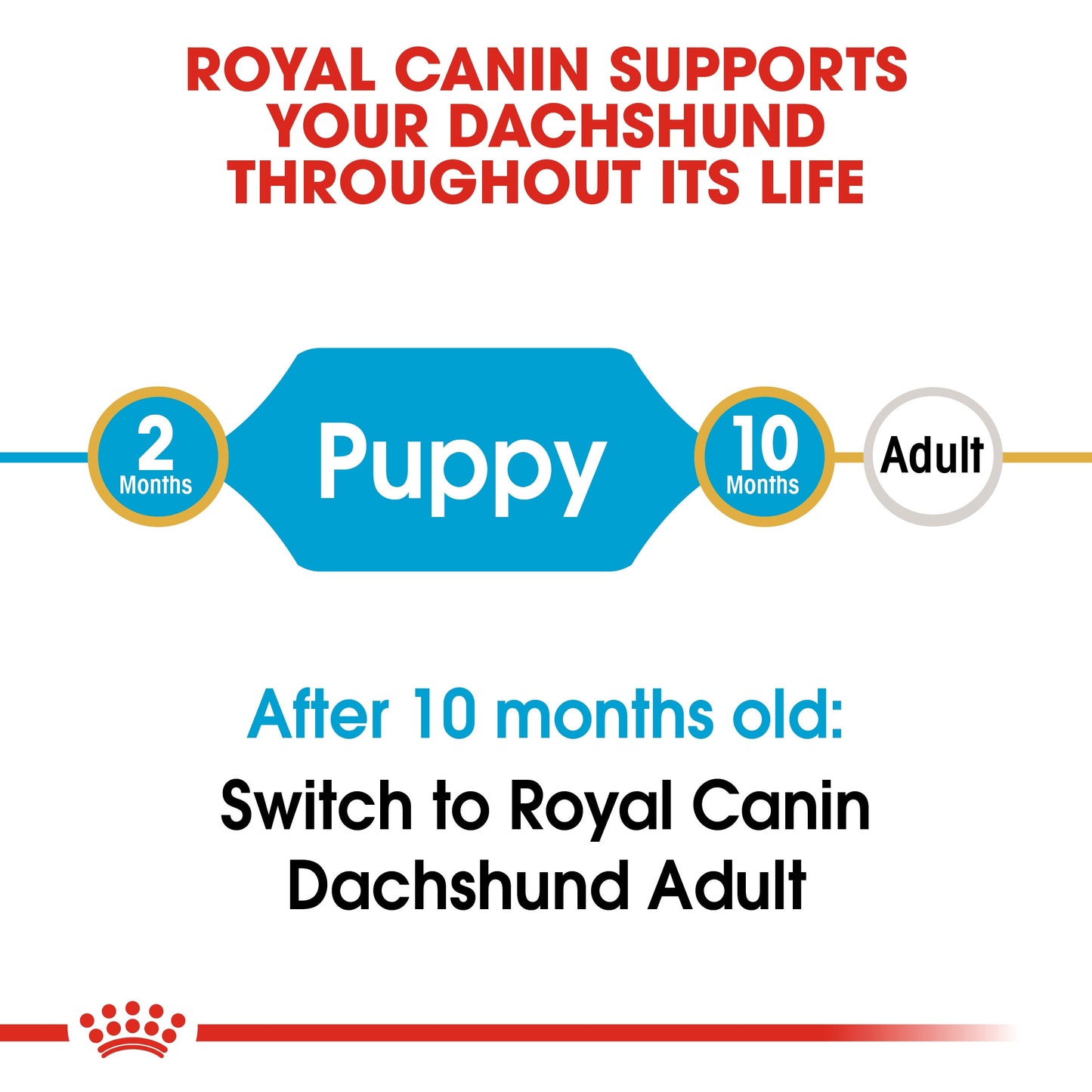 Royal Canin, Dachshund Puppy 1.5 KG, Breed Health Nutrition