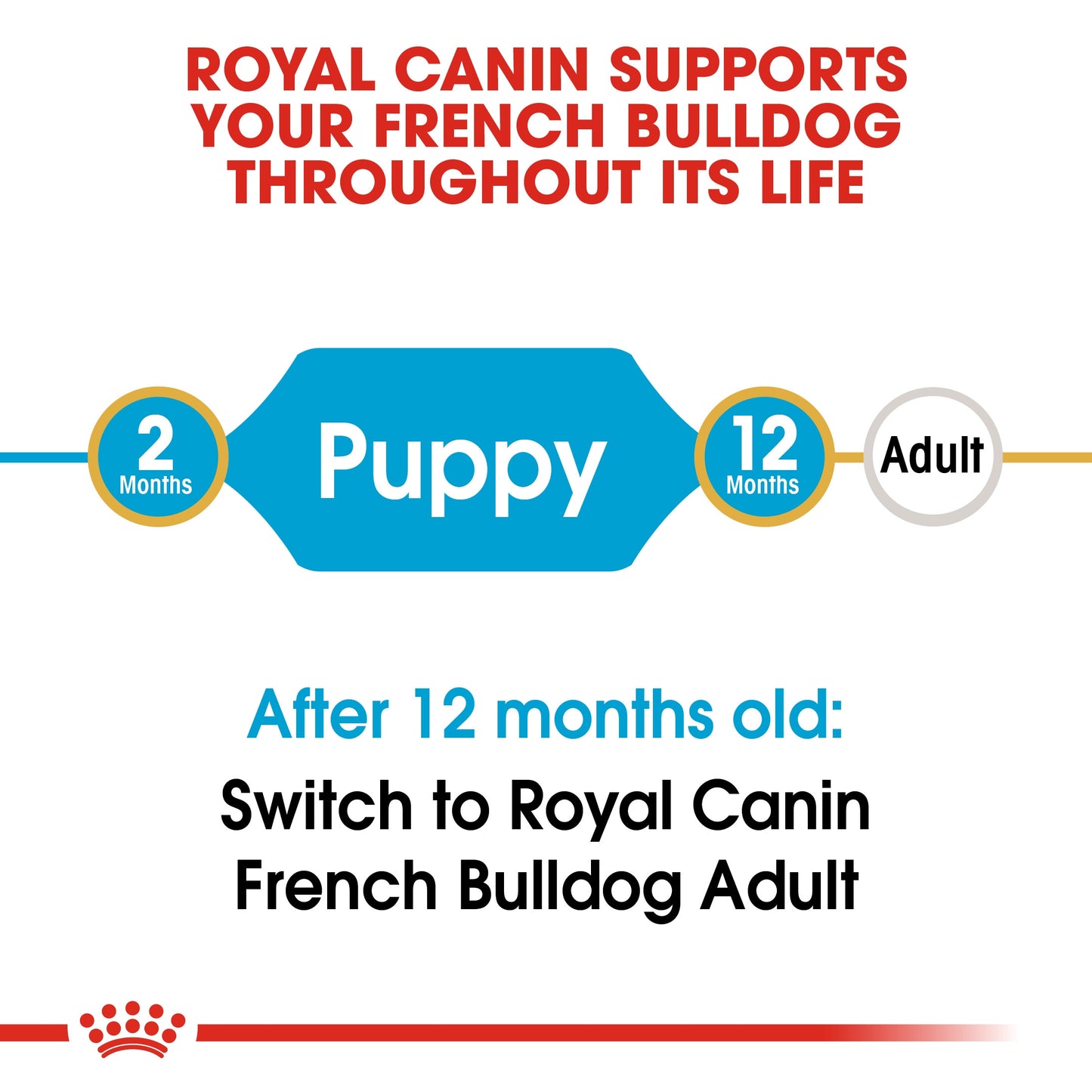 Royal Canin, French Bulldog Puppy 3 KG, Breed Health Nutrition