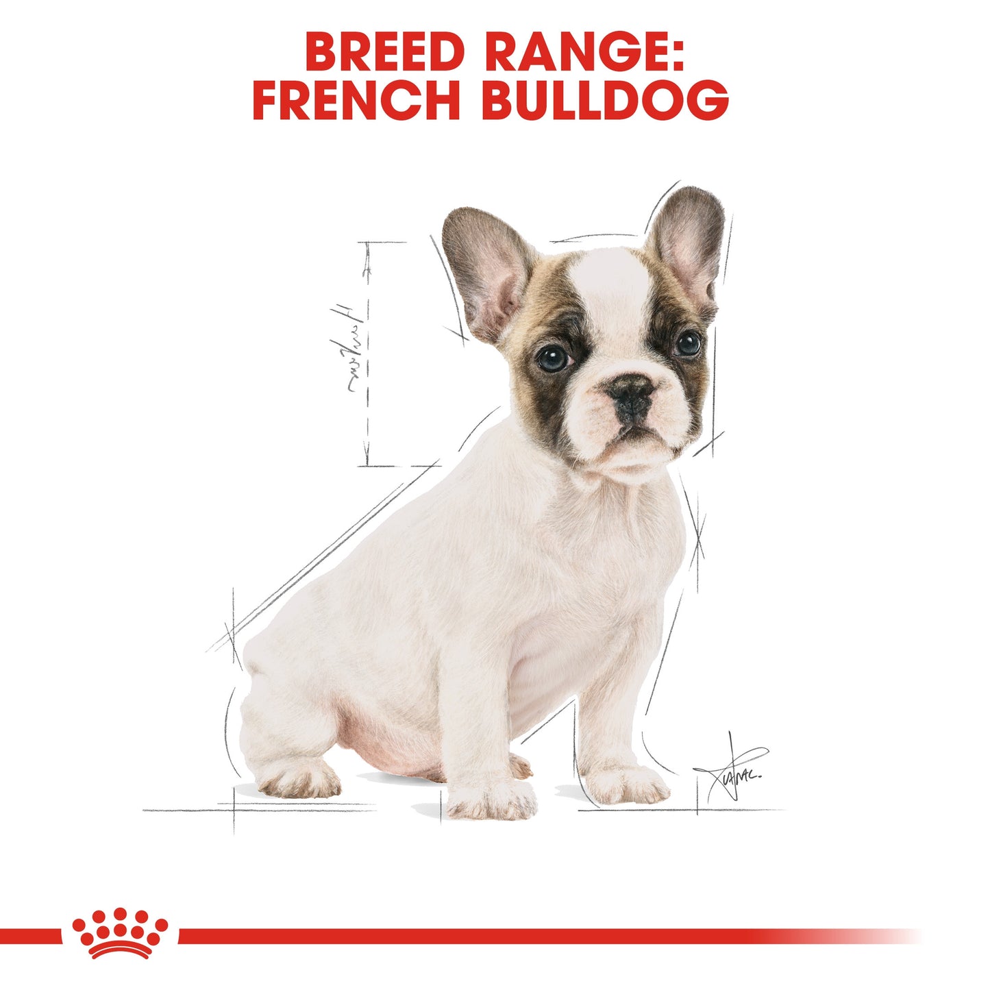 Royal Canin, French Bulldog Puppy 3 KG, Breed Health Nutrition