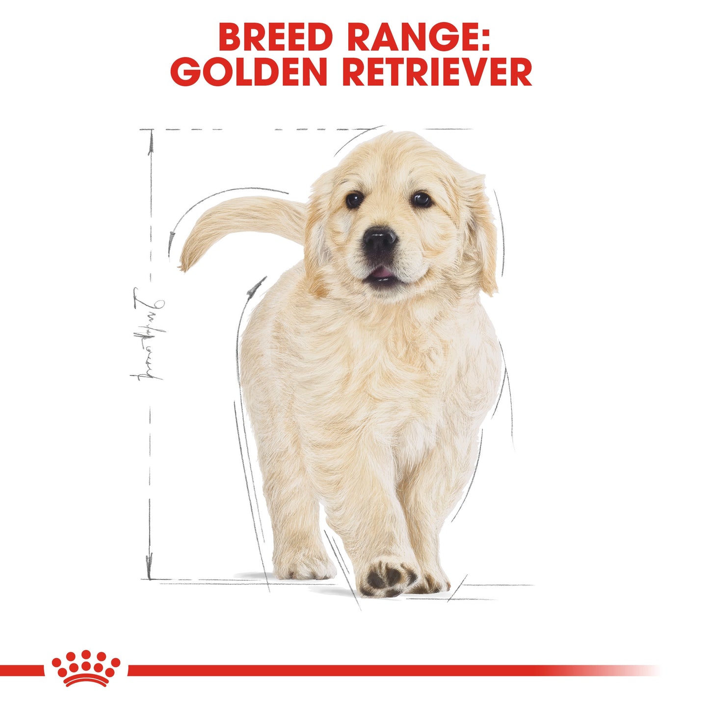 Royal Canin, Golden Retriever Puppy 12 KG, Breed Health Nutrition