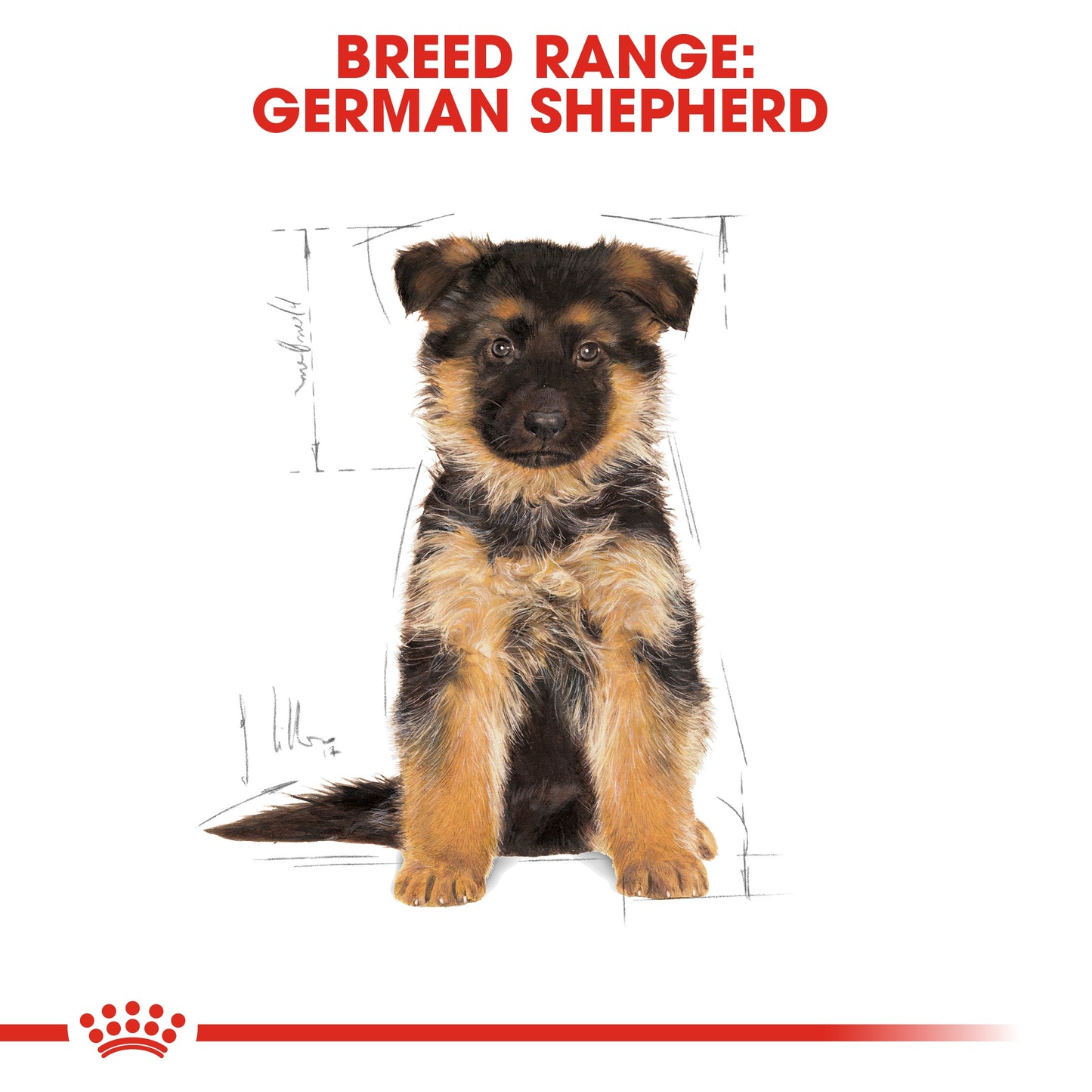 Royal Canin, German Shepherd Puppy 12 KG, Breed Health Nutrition