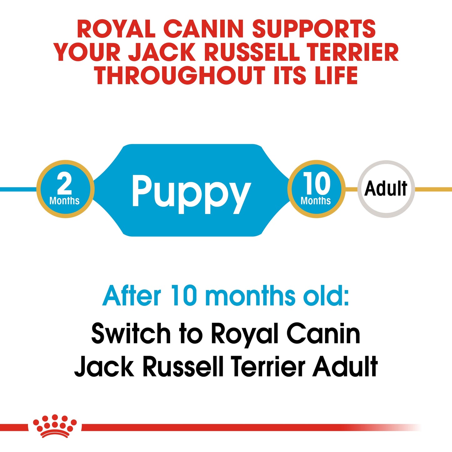 Royal Canin, Jack Russell Puppy 1.5 KG, Breed Health Nutrition