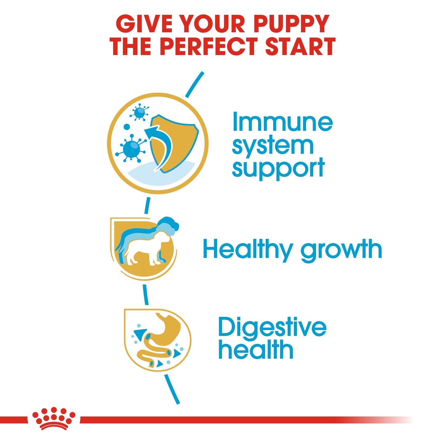 Royal Canin, Jack Russell Puppy 1.5 KG, Breed Health Nutrition