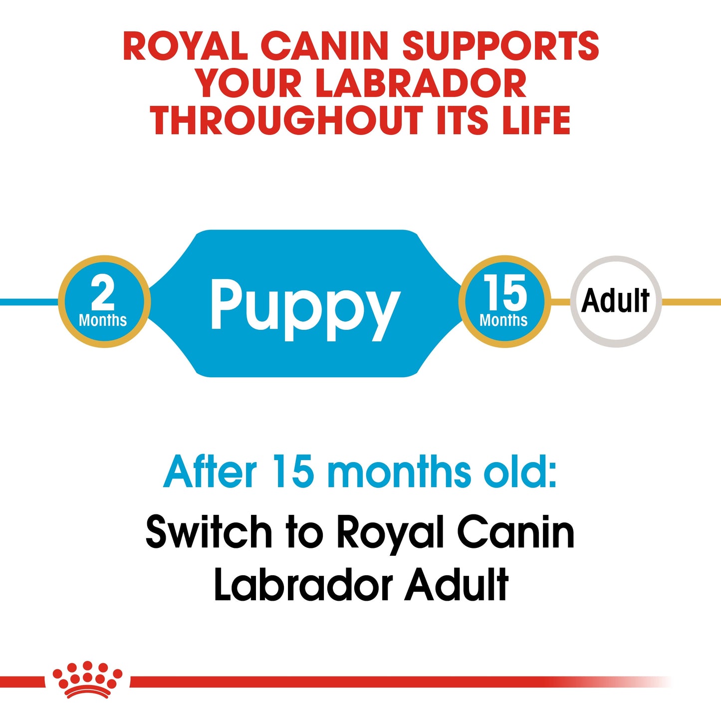 Royal Canin, Labrador Puppy 3 KG, Breed Health Nutrition