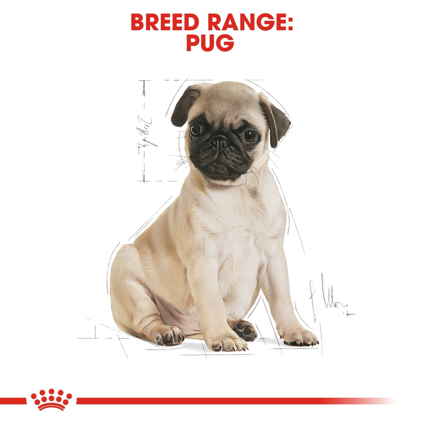 Royal Canin, Pug Puppy 1.5 KG, Breed Health Nutrition