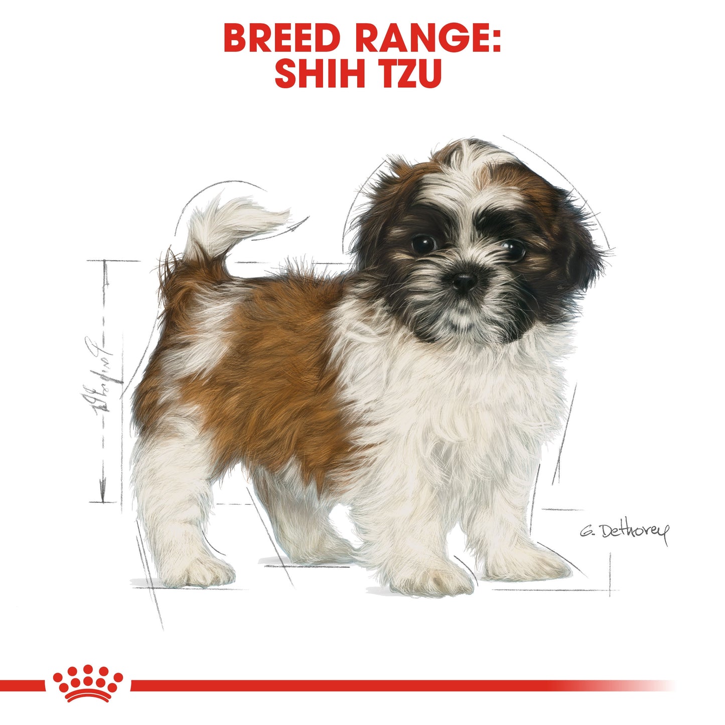 Royal Canin, Shih Tzu Puppy 1.5 KG, Breed Health Nutrition