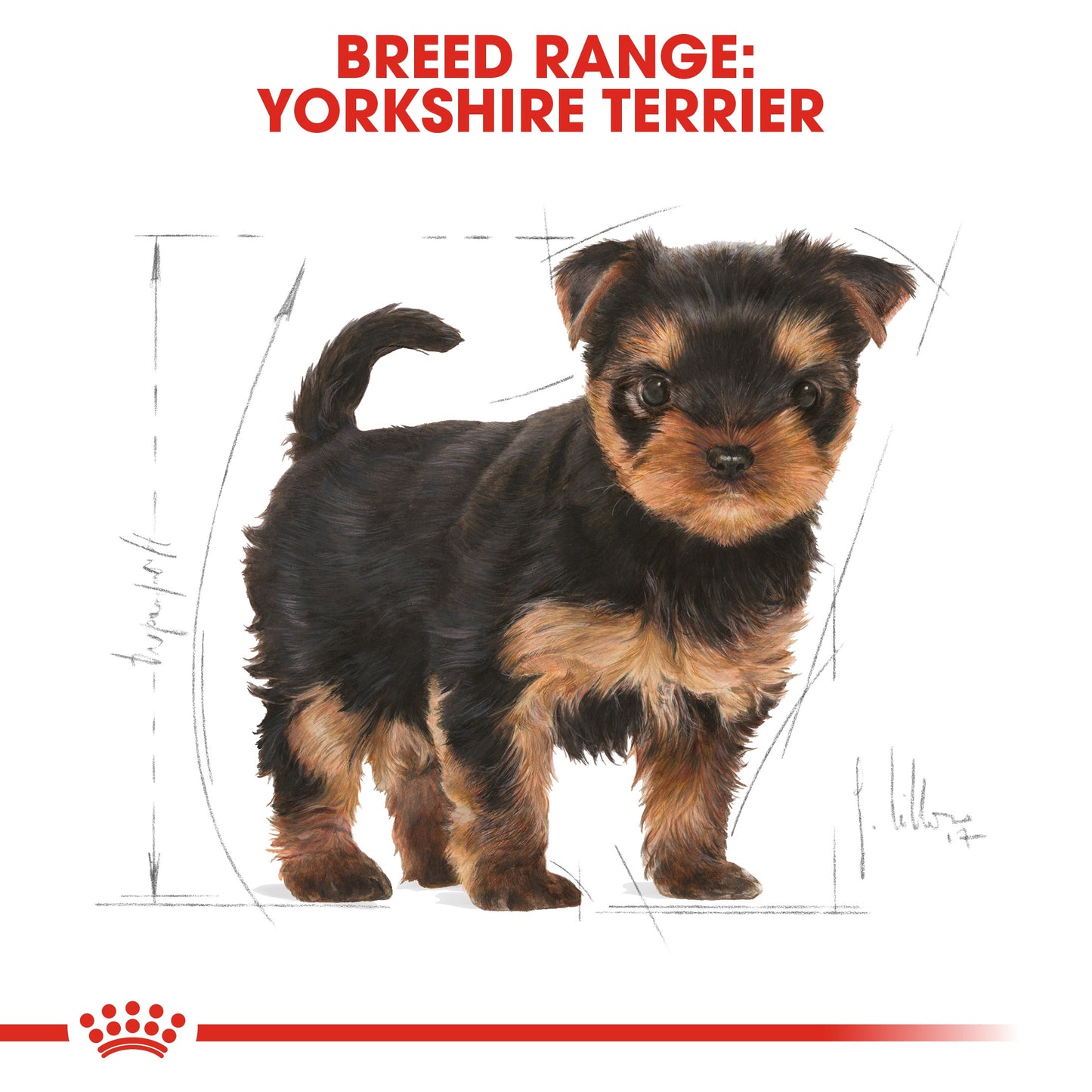 Royal Canin, Yorkshire Puppy 1.5 KG, Breed Health Nutrition