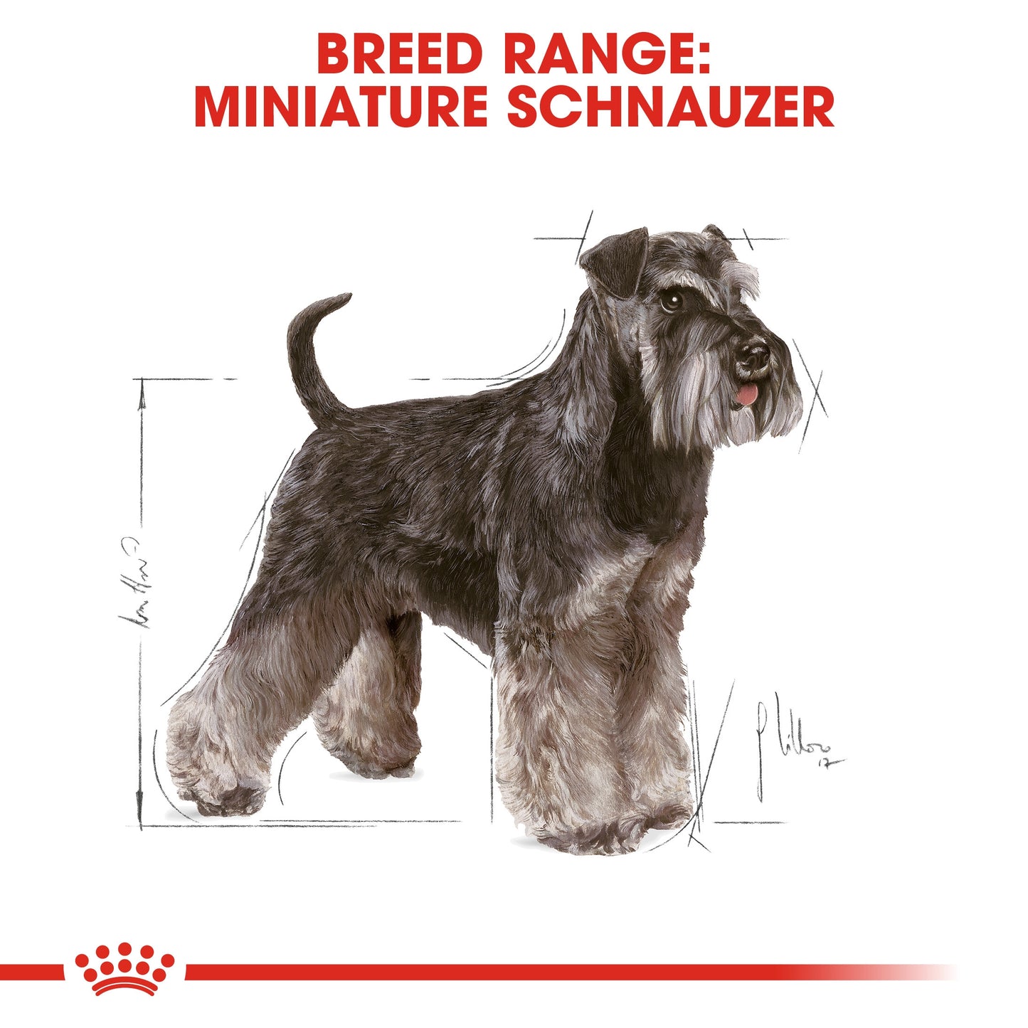 Royal Canin, Miniature Schnauzer Adult 3 KG, Breed Health Nutrition