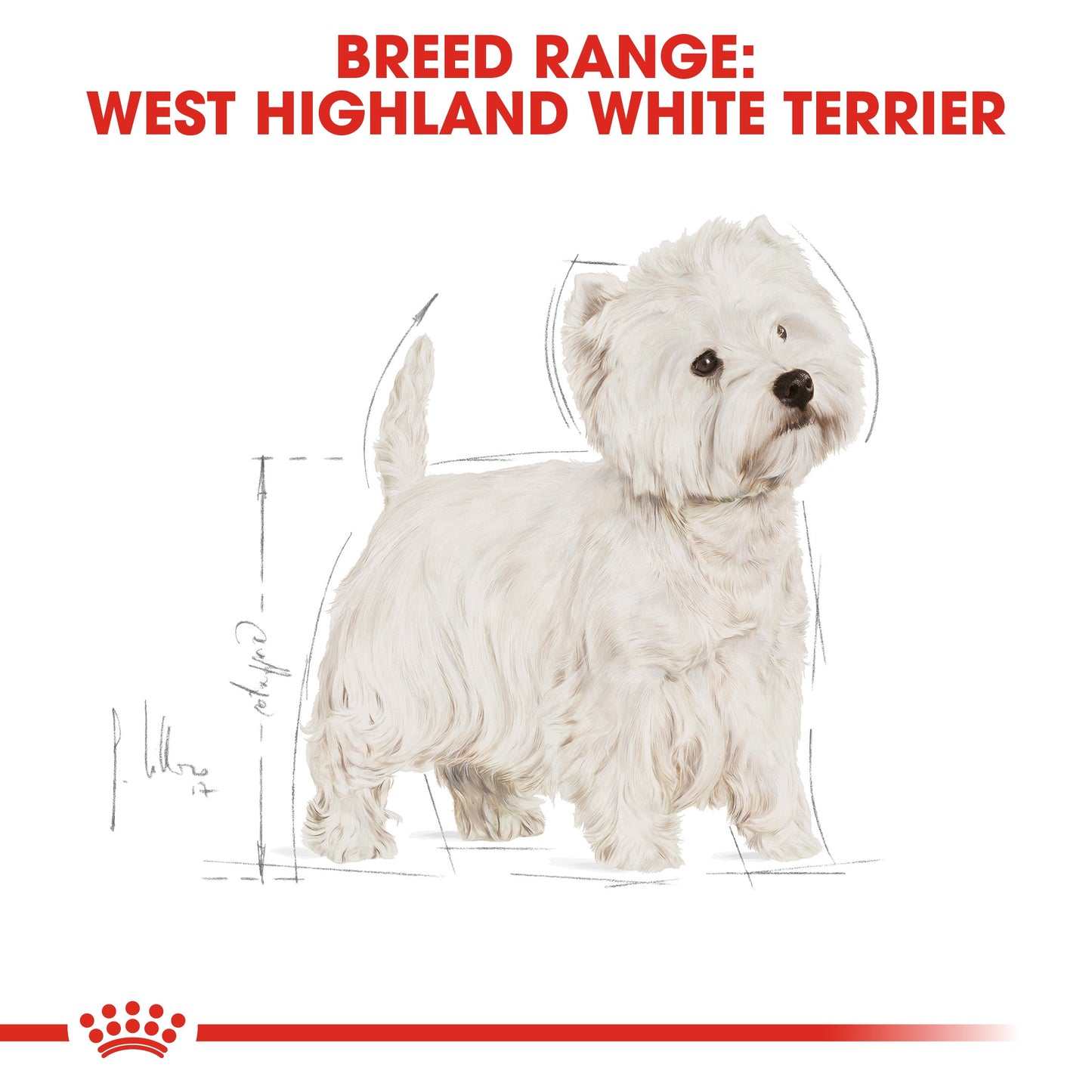 Royal Canin, Westie Adult 3 KG, Breed Health Nutrition