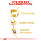 Royal Canin, Chihuahua Adult (WET FOOD - Pouches) Breed Health Nutrition
