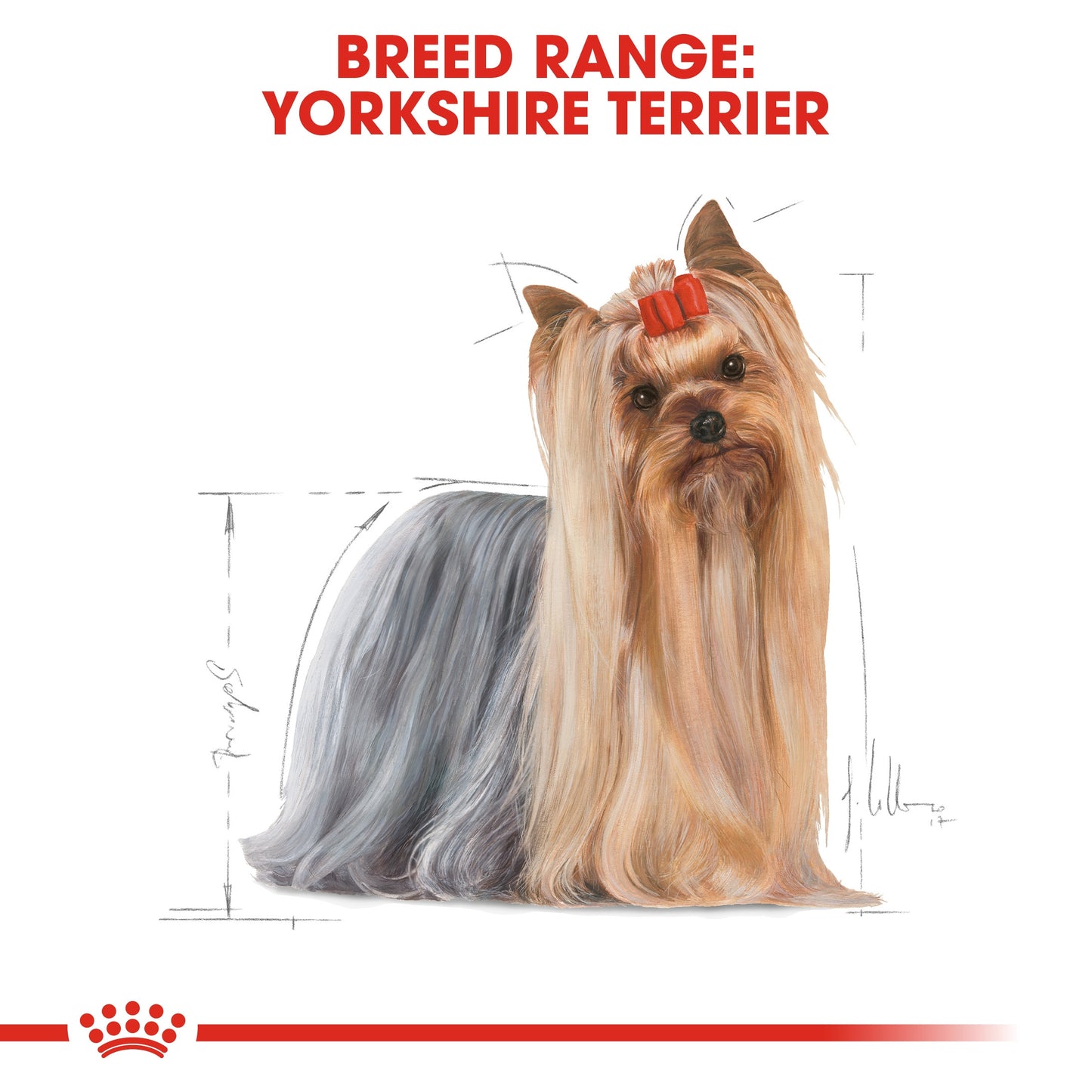 Royal Canin, Yorkshire Adult 1.5 KG, Breed Health Nutrition