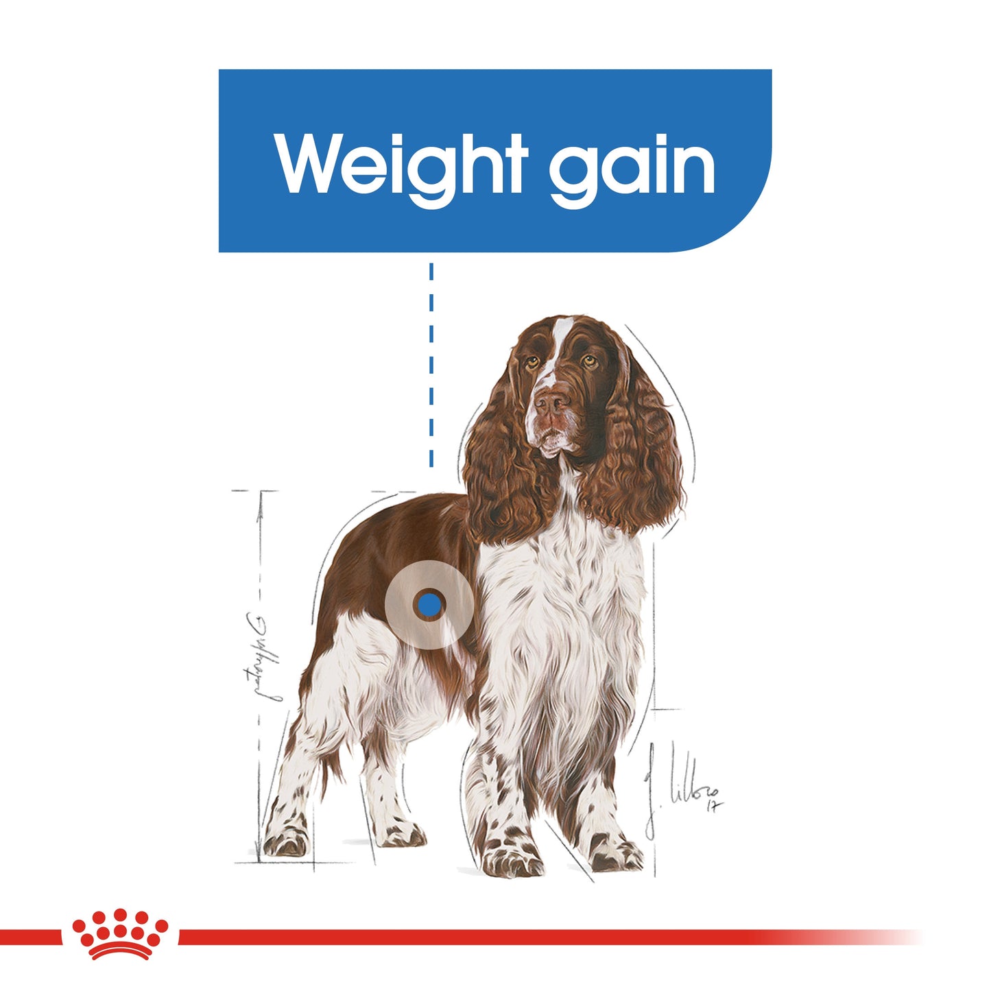 Royal Canin, Medium Light Weight Care 3 KG, Canine Care Nutrition