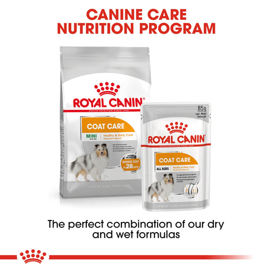 Royal Canin, Coat Beauty (WET FOOD - Pouches), Canine Care Nutrition