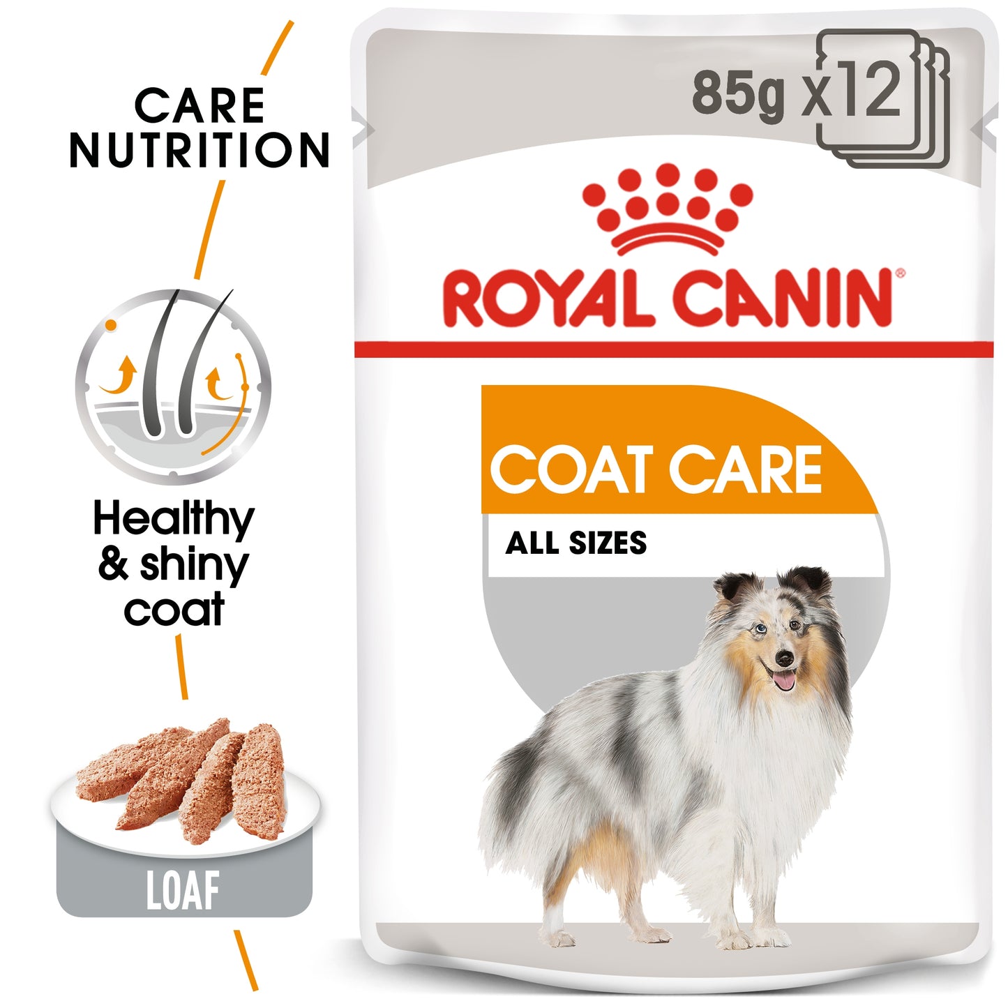 Royal Canin, Coat Beauty (WET FOOD - Pouches), Canine Care Nutrition