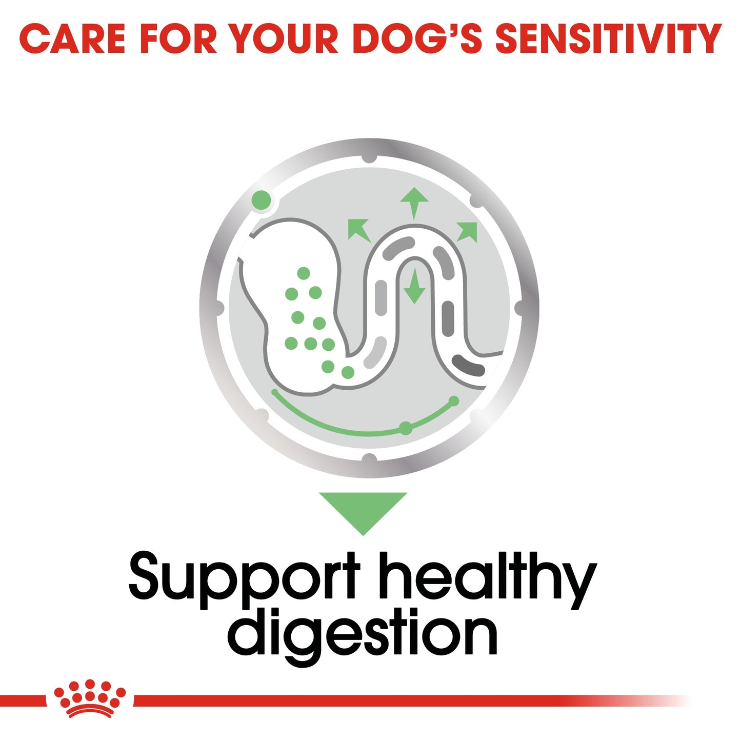 Royal Canin, Digestive Care (WET FOOD - Pouches), Canine Care Nutrition