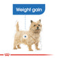 Royal Canin, Light Weight Care (WET FOOD - Pouches) Canine Care Nutrition